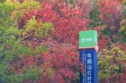 守土如瓶！主场气势磅礴取胜