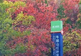 守土如瓶！主场气势磅礴取胜